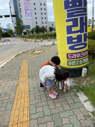나무드 [매직싹싹] 고급형 친환경 실리콘 수세미 미끄럼방지 고무장갑 투명 1개 + 블랙 1개 캠핑용 야외 설거지 — 5점을 준 리뷰어가 2021년 9월 올린 사용 사진