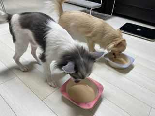 꼬밍님이 올린 리뷰 사진 3