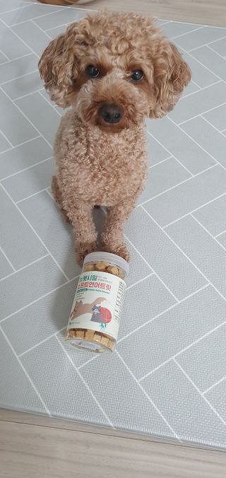 [펫시밀] 원물그대로 영양듬뿍 진공동결건조 북어트릿75g,치킨트릿100g,연어트릿75g 강아지 고양이 간식 — 5점을 준 리뷰어가 2023년 6월 올린 사용 사진