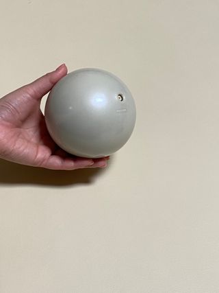 트라택 쿠셔닝 웨이트볼 0.5kg + 1kg SET — 2.5점을 준 리뷰어가 2022년 4월 올린 사용 사진