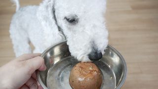 랄라맘마님이 올린 리뷰 사진 2