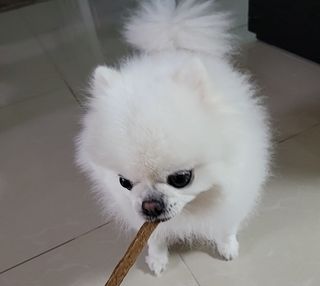 퓨리아님이 올린 리뷰 사진 3