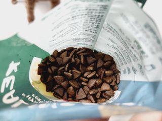 [푸디웜] 라포그  리얼인섹트 웨이트밸런스 저알러지 강아지 사료  1.2KG — 5점을 준 리뷰어가 2022년 7월 올린 사용 사진