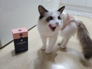 ssun0514님이 올린 리뷰 사진 1