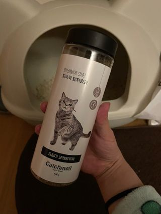 보광동붕어빵님이 올린 리뷰 사진 3