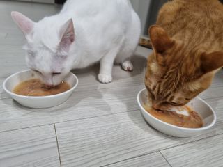 기몌딘님이 올린 리뷰 사진 3