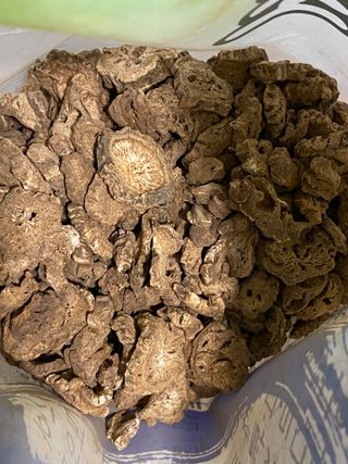 깡지님이 올린 리뷰 사진 1