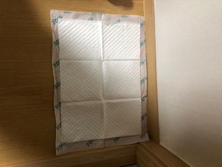 아베크 펫 와이드 프리미엄 중형 애견 강아지 배변 패드 54매 1팩 45g — 5점을 준 리뷰어가 2021년 7월 올린 사용 사진