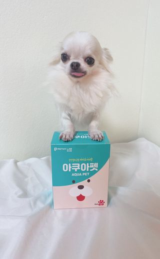 펫시랩 반려견용 액상 프리바이오틱스 아쿠아펫 — 4점을 준 리뷰어가 2021년 1월 올린 사용 사진