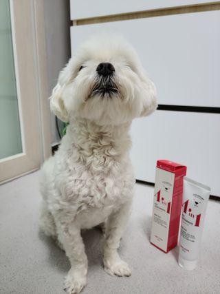 자기전님이 올린 리뷰 사진 1