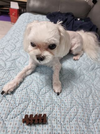 돌삐님이 올린 리뷰 사진 3