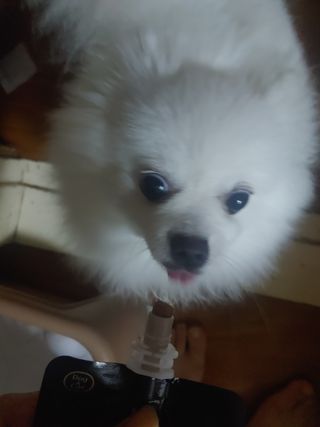 이누닷님이 올린 리뷰 사진 3