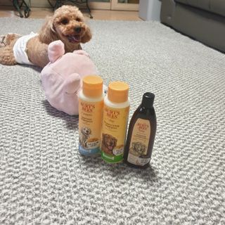 KyungEunMin님이 올린 리뷰 사진 3