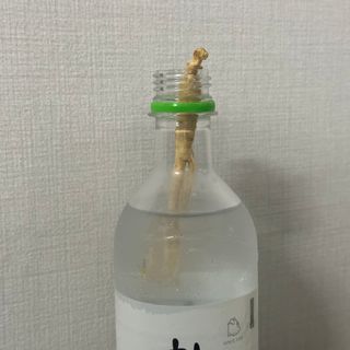 지똥이님이 올린 리뷰 사진 4