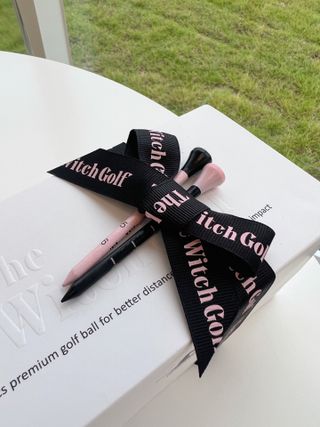 더위치골프(thewitchgolf) 프리미엄 골프 공 더위치골프 매트 펄 컬러의 3피스볼 더위치골프 골프볼 선물세트 — 5점을 준 리뷰어가 2023년 9월 올린 사용 사진