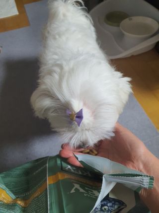 단츄♡님이 올린 리뷰 사진 2
