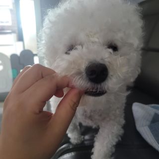 콩떡마미님이 올린 리뷰 사진 4