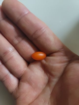 꿀굴님이 올린 리뷰 사진 3
