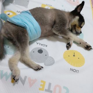 복도리님이 올린 리뷰 사진 4