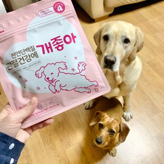 My Pet Care 천연단백질 관절건강에 개좋아 — 5점을 준 리뷰어가 2021년 3월 올린 사용 사진