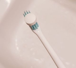 녹다 츄츄고체치약 150정 프로폴리스 죽염 씹는 치약 — 5점을 준 리뷰어가 2022년 12월 올린 사용 사진