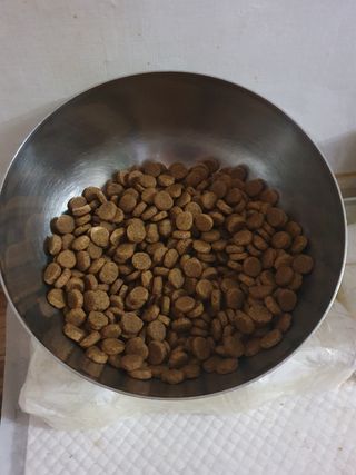 뽀기님이 올린 리뷰 사진 3