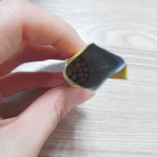 앙칼진 냔님이 올린 리뷰 사진 1