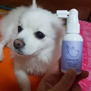 바나나님이 올린 리뷰 사진 3