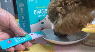 펫시랩 반려견용 액상 프리바이오틱스 아쿠아펫 — 5점을 준 리뷰어가 2021년 1월 올린 사용 사진
