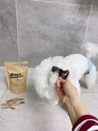 [보헤리] 국내산 강아지 육포간식 바삭 64 2종 — 5점을 준 리뷰어가 2022년 3월 올린 사용 사진