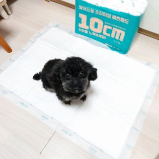 쓔리님이 올린 리뷰 사진 3