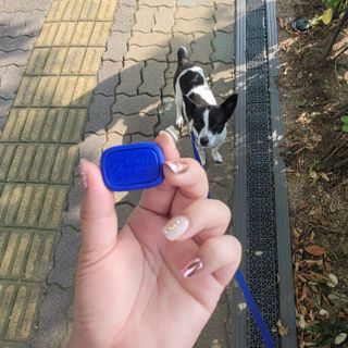 노이님이 올린 리뷰 사진 2