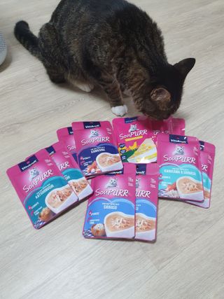 비타크래프트 고양이 수프 50g 3가지맛 x4팩씩 총 12팩 — 5점을 준 리뷰어가 2021년 8월 올린 사용 사진