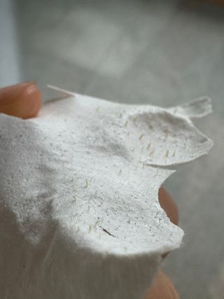 세뚜아(Cettua) 세뚜아 스티키 포어 패치 Cettua Sticky Pore Patch — 5점을 준 리뷰어가 2023년 8월 올린 사용 사진