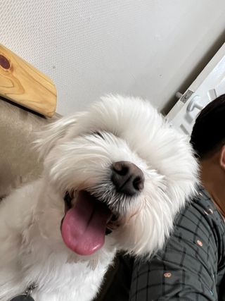 정은a님이 올린 리뷰 사진 2
