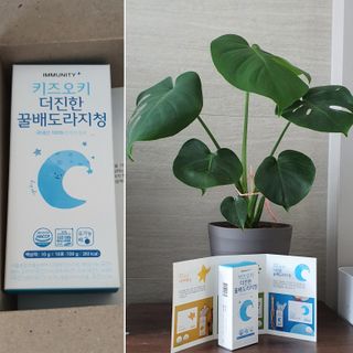 [이뮤니티플러스]우리아이 면역오키, 건강오키 _ 키즈오키 더진한꿀배도라지청 10포 1box — 5점을 준 리뷰어가 2022년 2월 올린 사용 사진