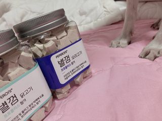 페페로니 자기전에 먹는 저알러지 껌 세트 치킨+오리 — 5점을 준 리뷰어가 2021년 7월 올린 사용 사진