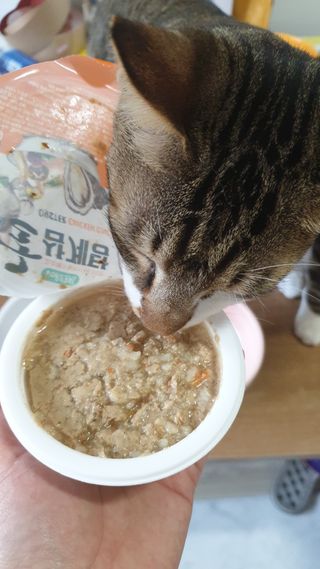 둘둘이님이 올린 리뷰 사진 4