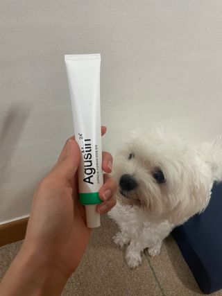 냥냥이님이 올린 리뷰 사진 2