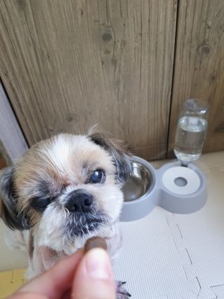 민우다빈이맘님이 올린 리뷰 사진 2