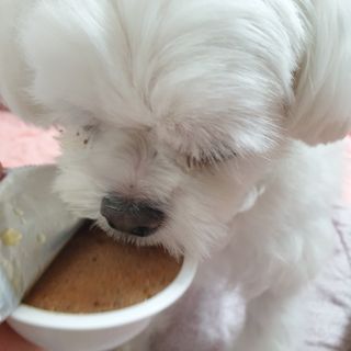 lala님이 올린 리뷰 사진 2