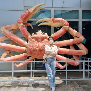 아르보노브라 아르보노 낮노밤노 셔츠 — 5점을 준 리뷰어가 2021년 5월 올린 사용 사진