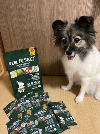 [푸디웜] 라포그  리얼인섹트 웨이트밸런스 저알러지 강아지 사료  1.2KG — 4.5점을 준 리뷰어가 2022년 7월 올린 사용 사진