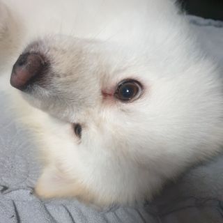 KyungEunMin님이 올린 리뷰 사진 2