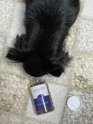 펫21 그로그로 5종 강아지 고양이 반려동물 한방 영양제 — 4.5점을 준 리뷰어가 2021년 11월 올린 사용 사진