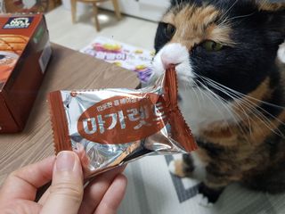 솔탄이love님이 올린 리뷰 사진 2