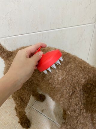 짱아둥이님이 올린 리뷰 사진 3