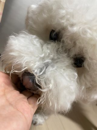 사커맘님이 올린 리뷰 사진 3