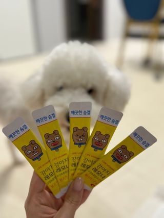 [레모나] 강아지 레모나 강아직 영양 간식 4종 택 1 — 5점을 준 리뷰어가 2023년 12월 올린 사용 사진