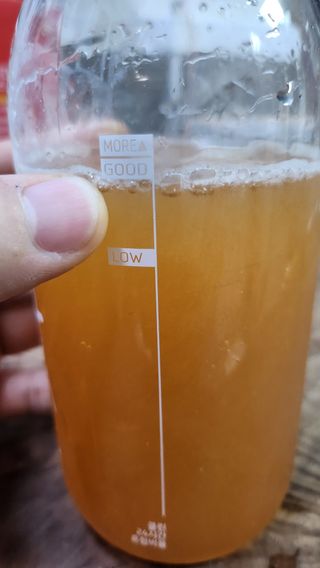 클린24시간 레드박스 1BOX(5포) + 전용보틀(500ml) — 5점을 준 리뷰어가 2024년 1월 올린 사용 사진